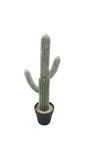 TALL CACTUS PLANT.FAUX.