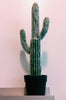 TALL CACTUS PLANT.FAUX.